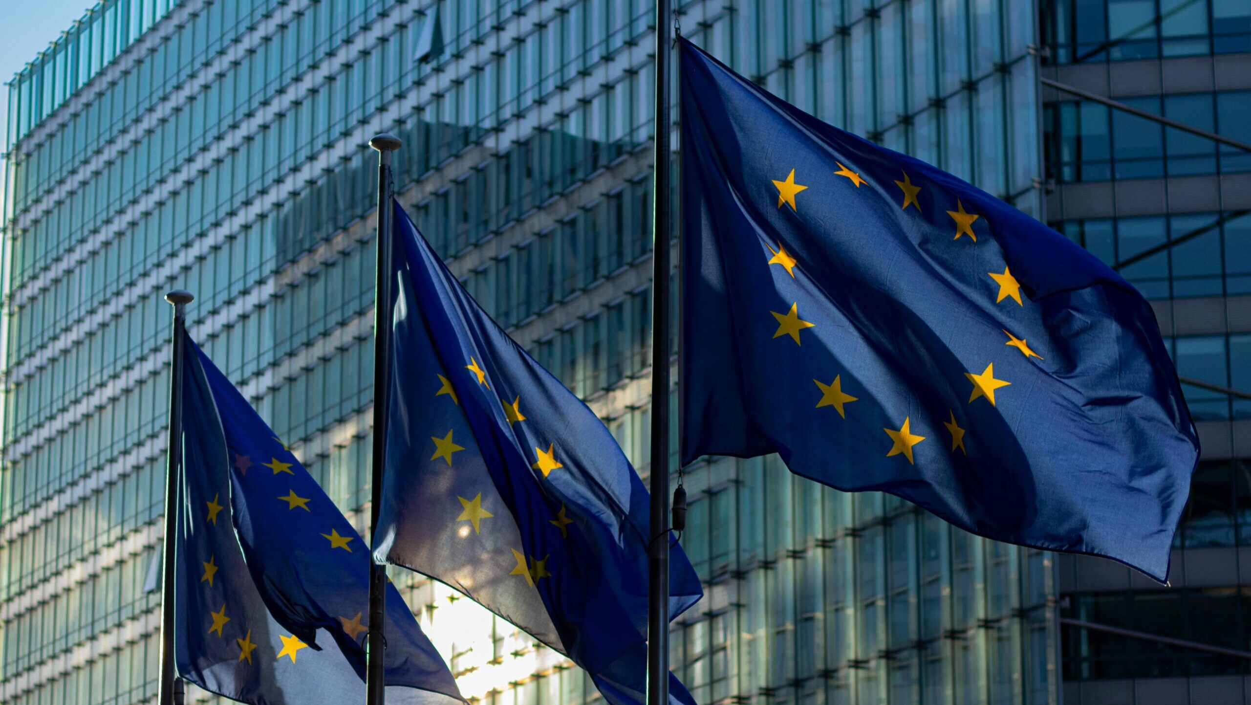 Seminario: ‘Quen paga a política industrial europea? Heteroxeneidade da riqueza nun modelo HANK de dous países’